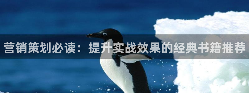 必赢手机app下载官网