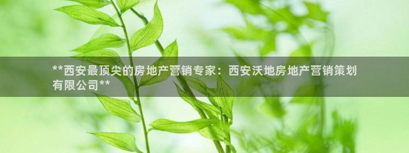 必赢公司