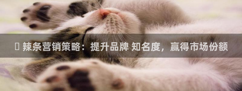 必赢集团网站官网