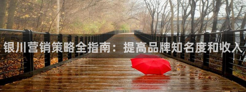 必赢网站是哪一个公司的