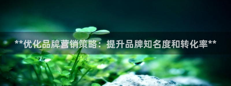 必赢平台官方网站登录