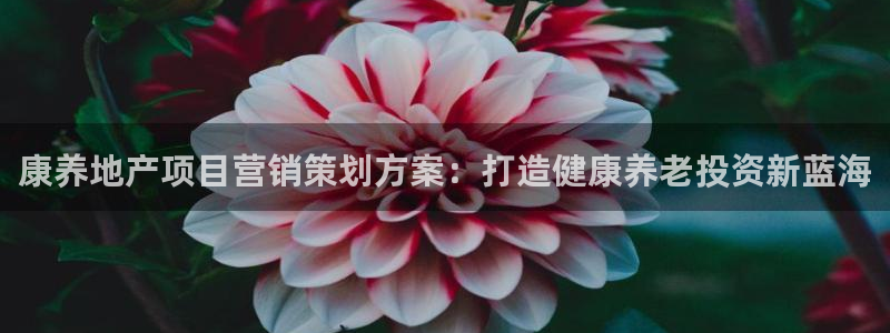 必赢网站是哪一个平台