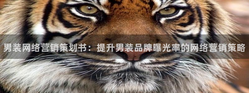 必赢国际437a