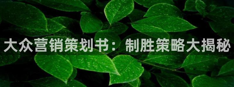 必赢集团