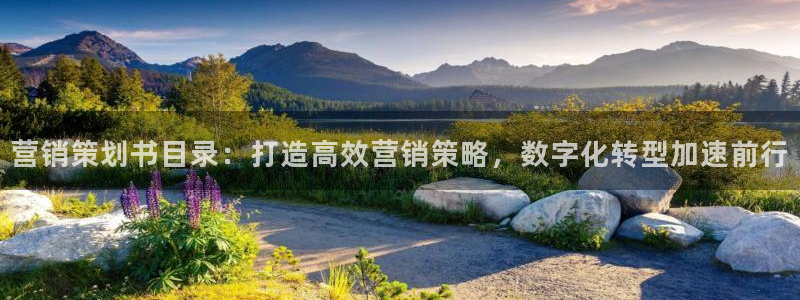 必赢72882网址