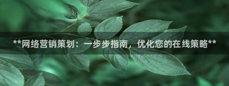 必赢官网