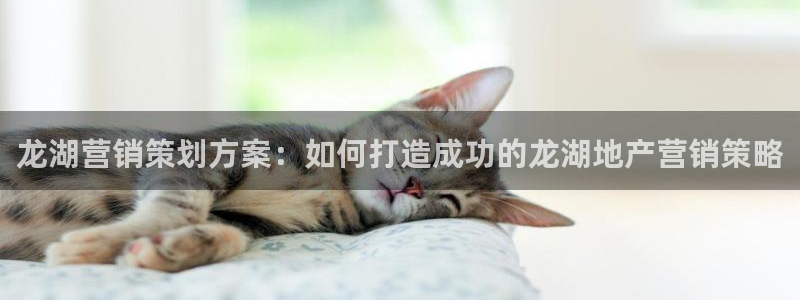 必赢公司是怎样的一家企业