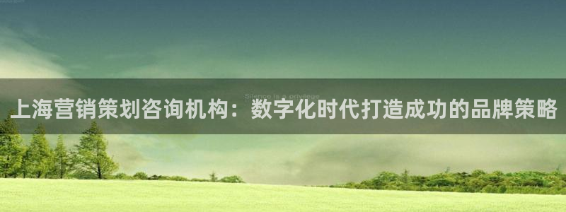 必赢app是干什么的