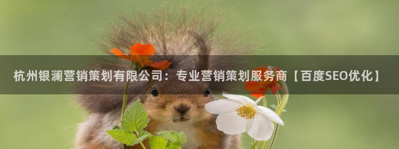 必赢网址