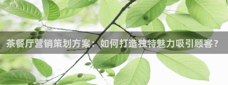 必赢网站打不开