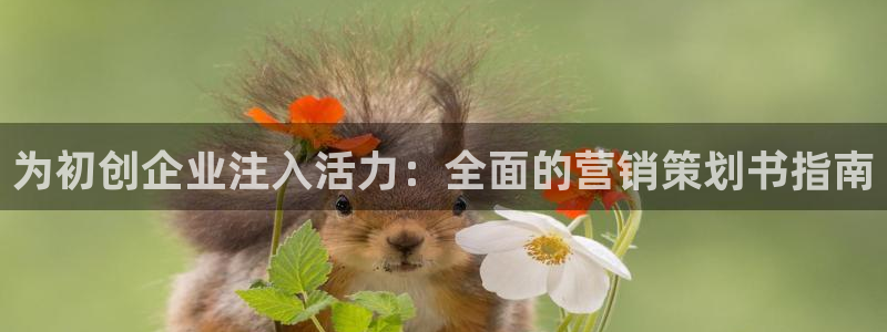 必赢手机app下载 最新版苹果