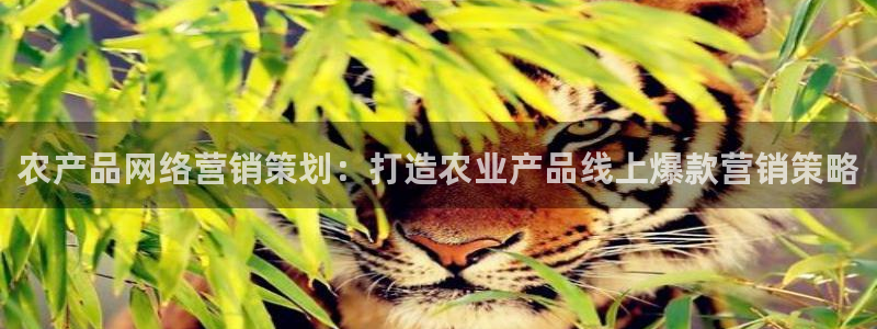 必赢平台官方网站登录