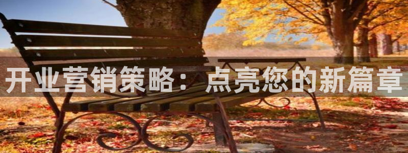必赢网站是哪一个公司的：开业营
