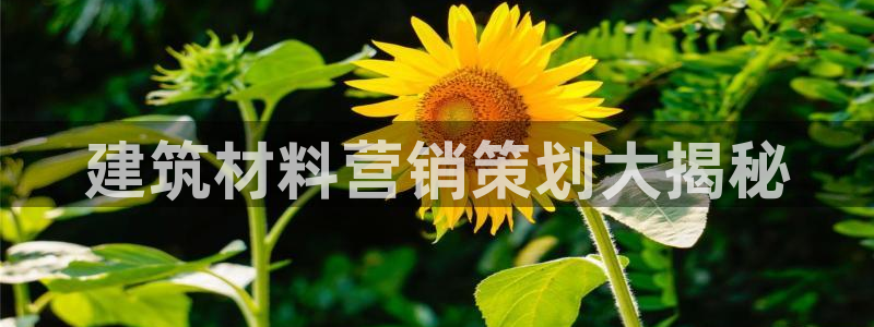 必赢平台网：建筑材料营销策划大
