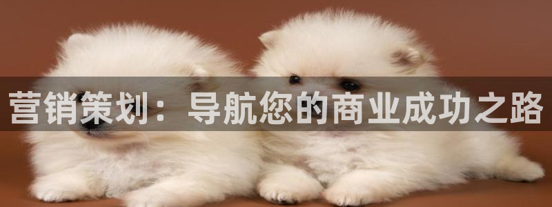 必赢国际官网登录：营销策划：导