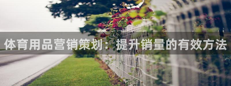 必赢账号：体育用品营销策划：提