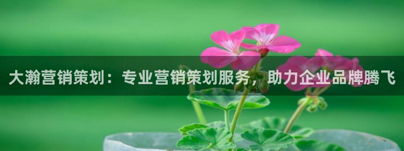 必赢国际437app下载：大瀚