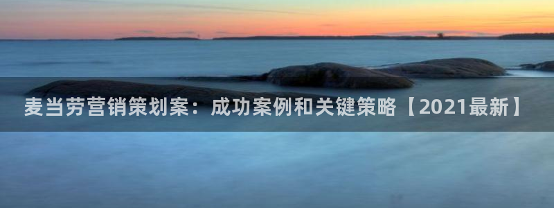 必赢国际软件下载：麦当劳营销策