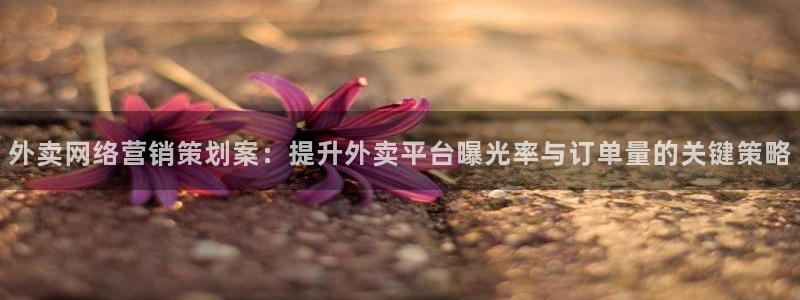 必赢网站有哪些