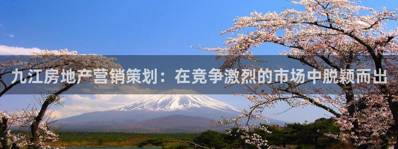 必赢平台怎么样