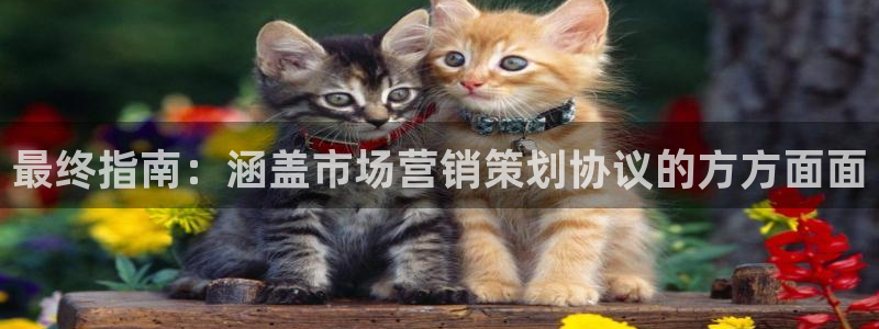 必赢8888